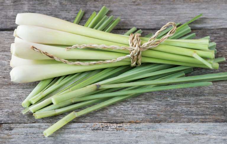 Củ sả có công dụng gì?