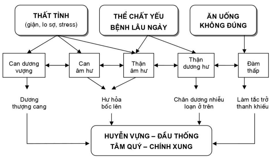 Nguyên nhân gây tăng huyết áp theo y học cổ truyền
